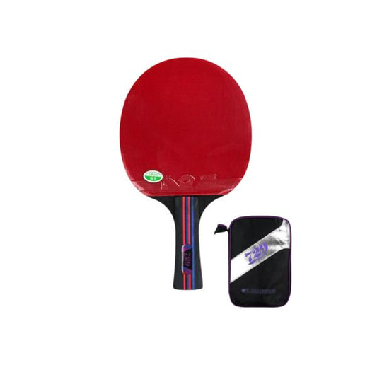 Paleta de Ping Pong 729